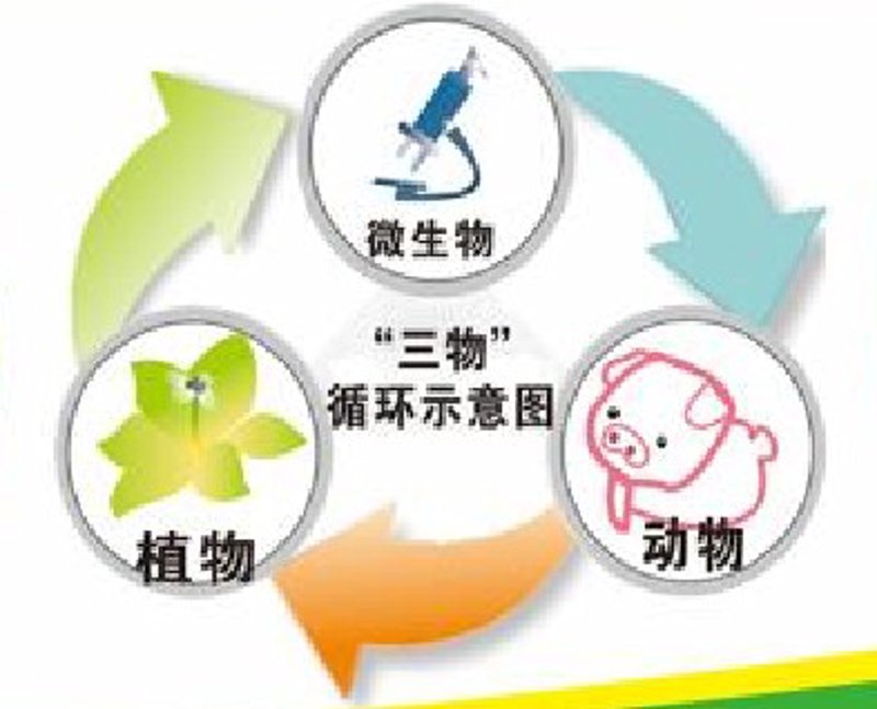连云港文化传媒：融合与创新的双面镜